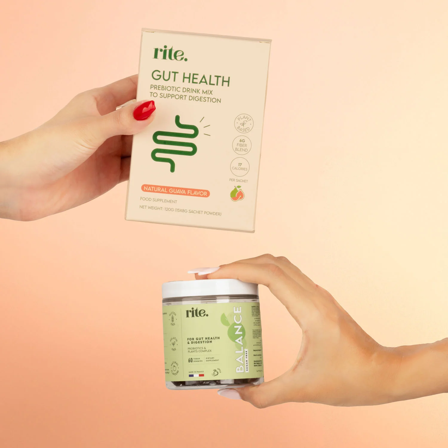 GUT HEALTH Essential Pack - Image 3
