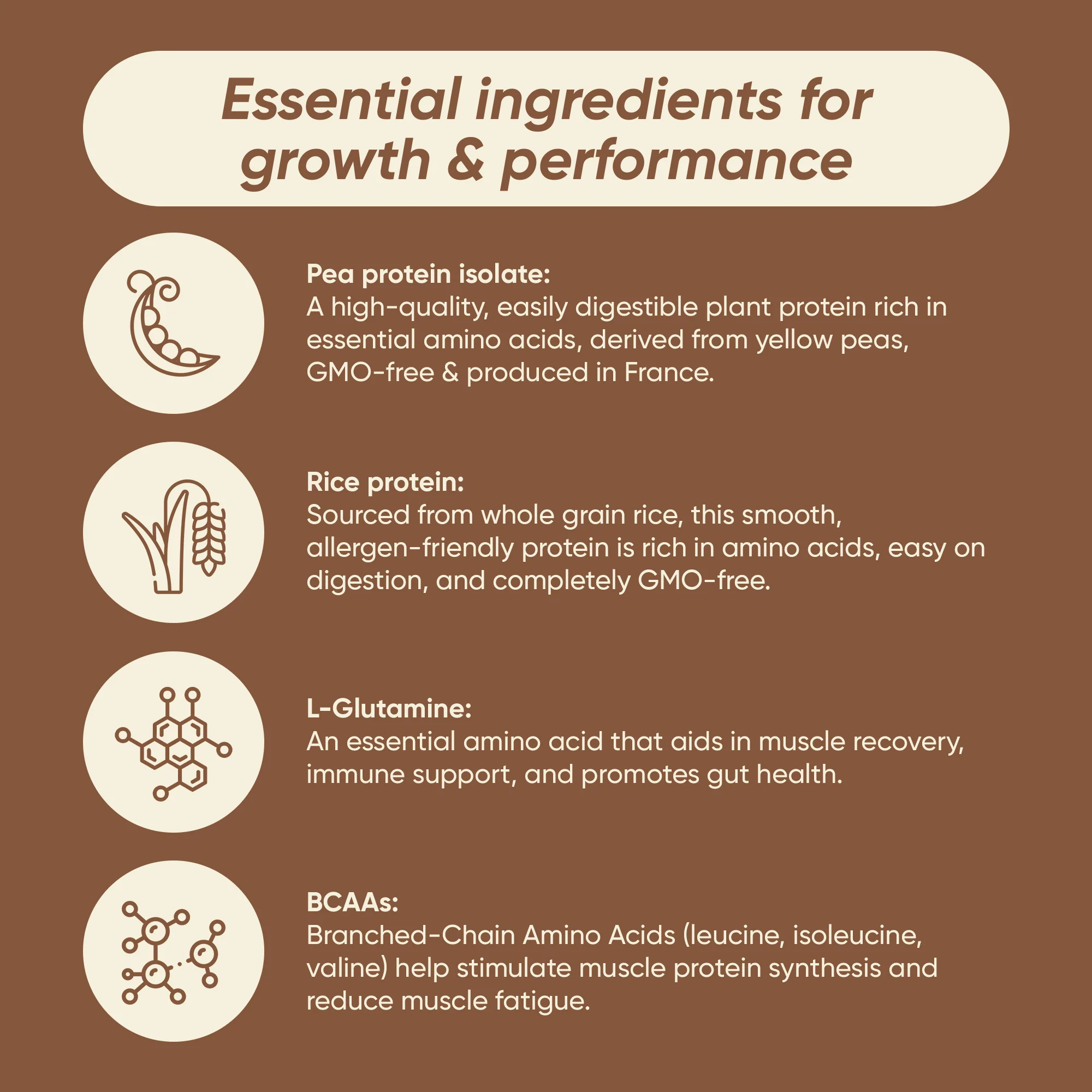 PLANT PROTEIN 900g - Image 9